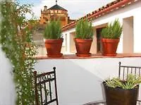 Apartment Los Patios De La Juderia Apartamentos Cordoba Spain