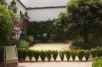 Los Patios De La Juderia Apartamentos Cordoba 0*,